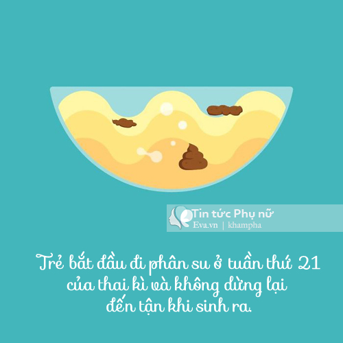 12-dieu-thu-vi-khi-mang-thai-11-1477856941-width500height500
