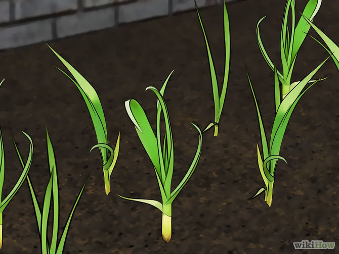 1438853369-670px-get-rid-of-mosquitoes-step-13-version-4 6 cách đơn giản giúp trẻ không còn bị muỗi đốt - 5