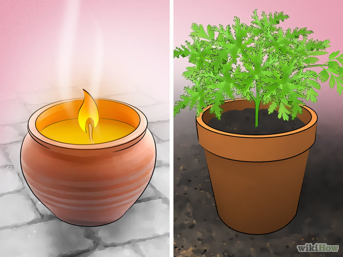 1438853369-670px-get-rid-of-mosquitoes-step-8-version-4 6 cách đơn giản giúp trẻ không còn bị muỗi đốt - 6