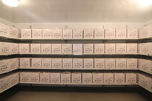 1445564549-vac-xin1 Tỷ lệ phản ứng nặng của vắc xin Quinvaxem rất nhỏ - 1