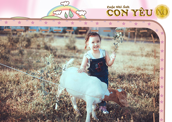 38020-20nguyen20hoang20bang20tam