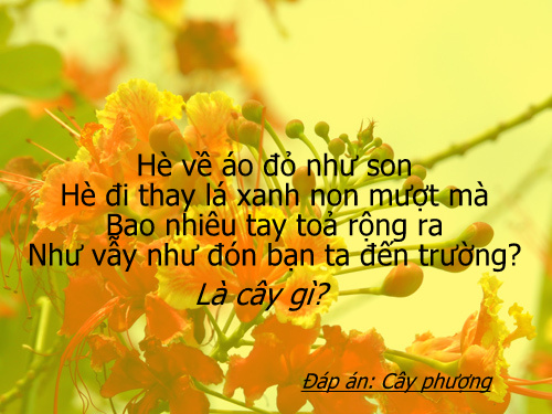caudo4 Thử trí thông minh của bé, đừng quên câu đố dân gian! - 4