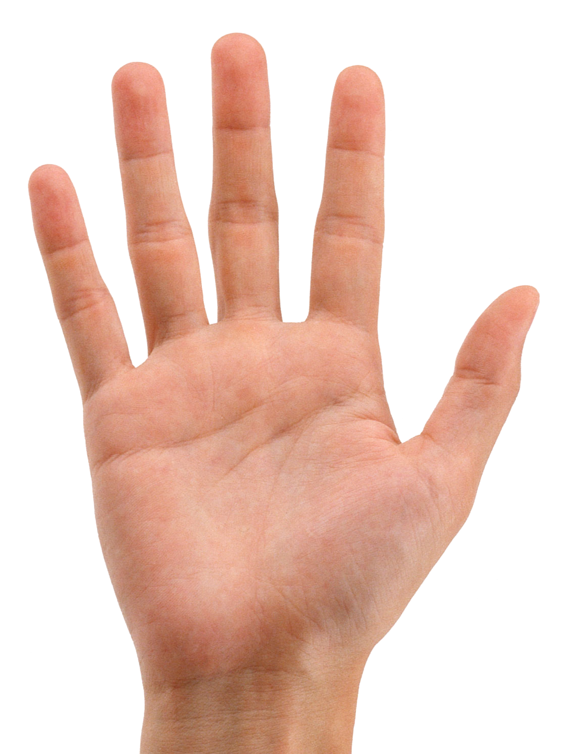 quy-luat-ban-tay