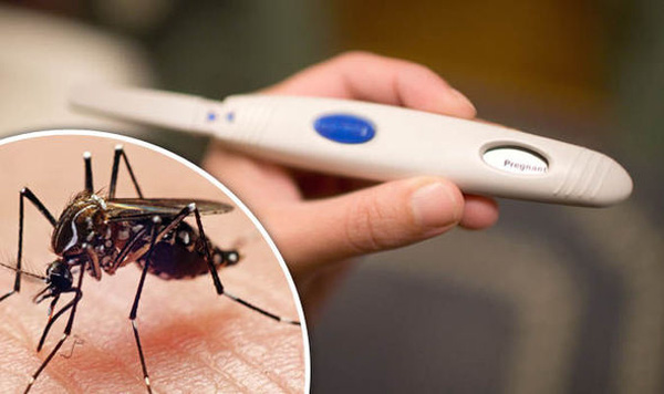 zika-2