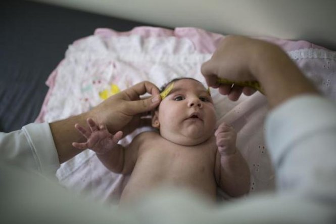 zika