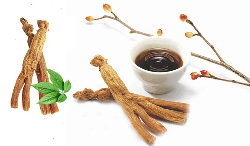 GIẢI ĐÁP] Hồng sâm có tác dụng gì? những ai không nên uống hồng sâm?